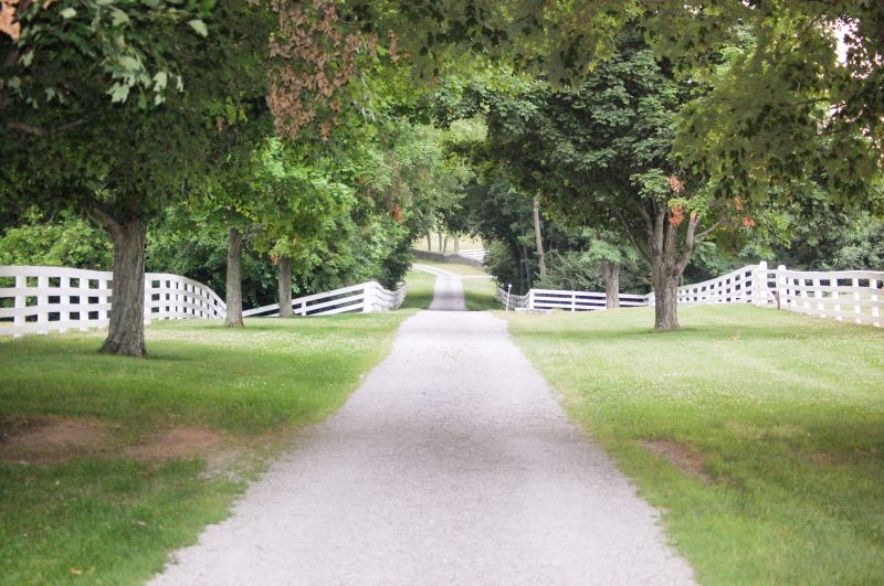 Driveway Gravel Removal