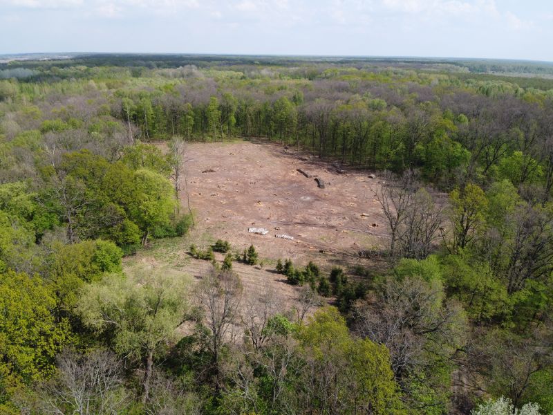 Land Clearing and Grading