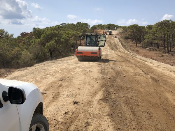 Cost of Driveway Grading in Danbury