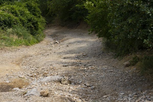 Cost of Gravel Road Pothole Repair in Danbury